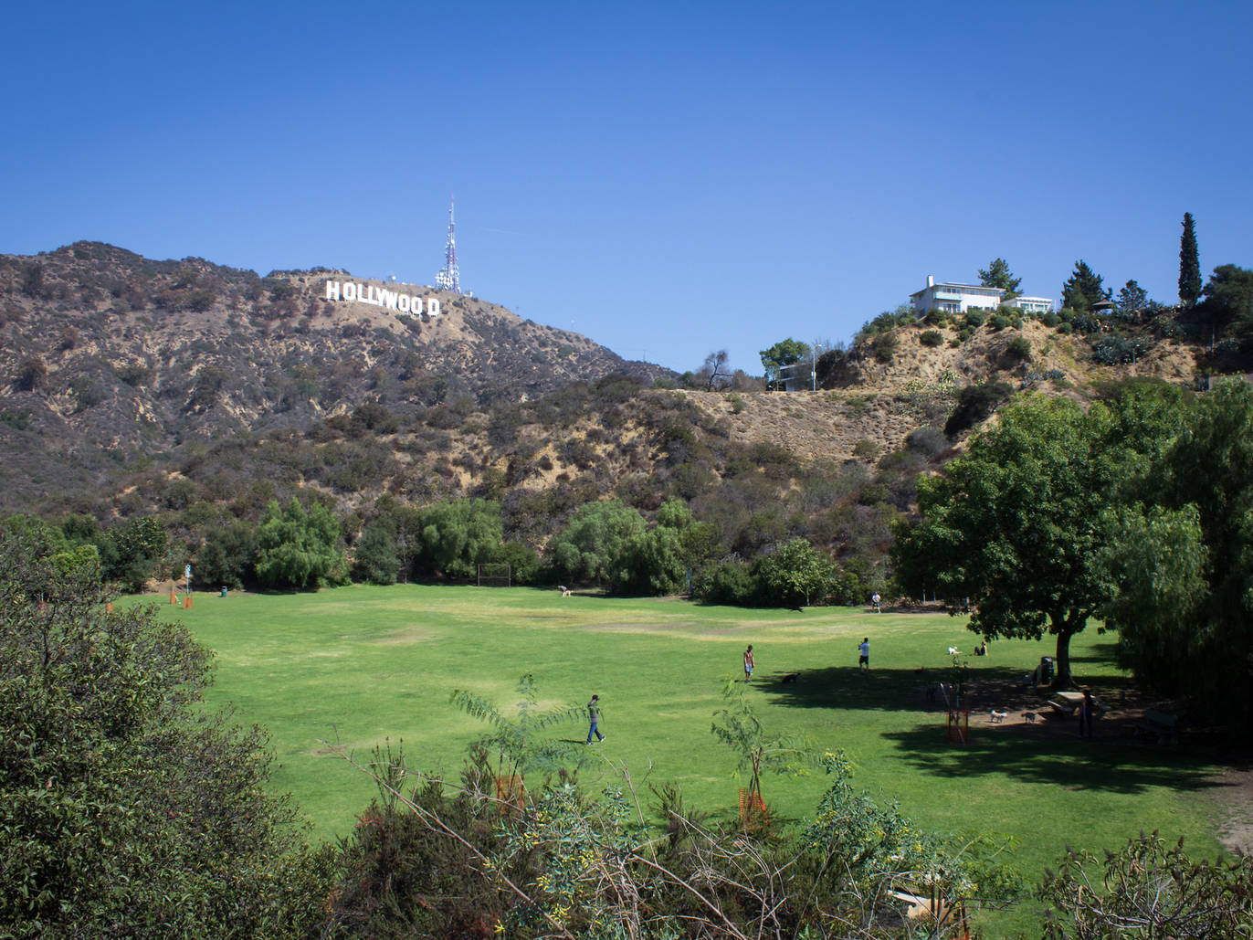 Best Picnic Spots in Los Angeles for an Outside Snack