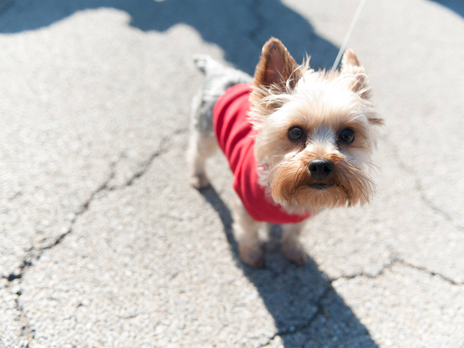 Bars Chicago Bars, Reviews & Bar Events Time Out Chicago