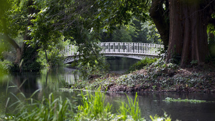 Morden Hall Park 