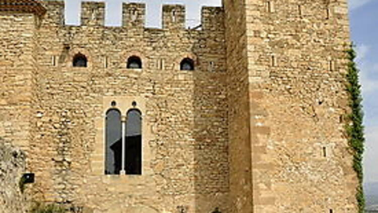 Castell de Montsonís