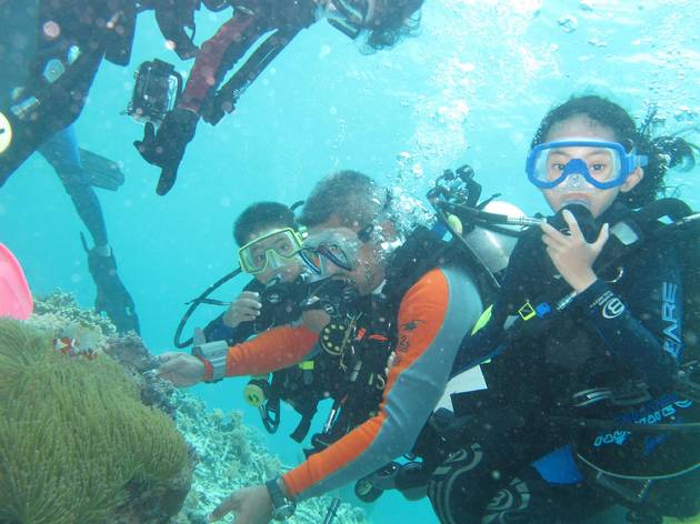 Diving Diving