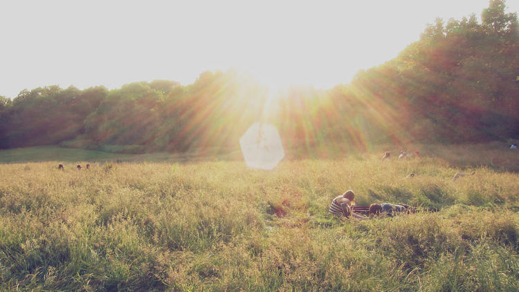 Hampstead Heath