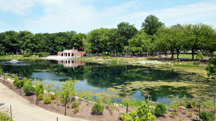 Destination: Crotona Park