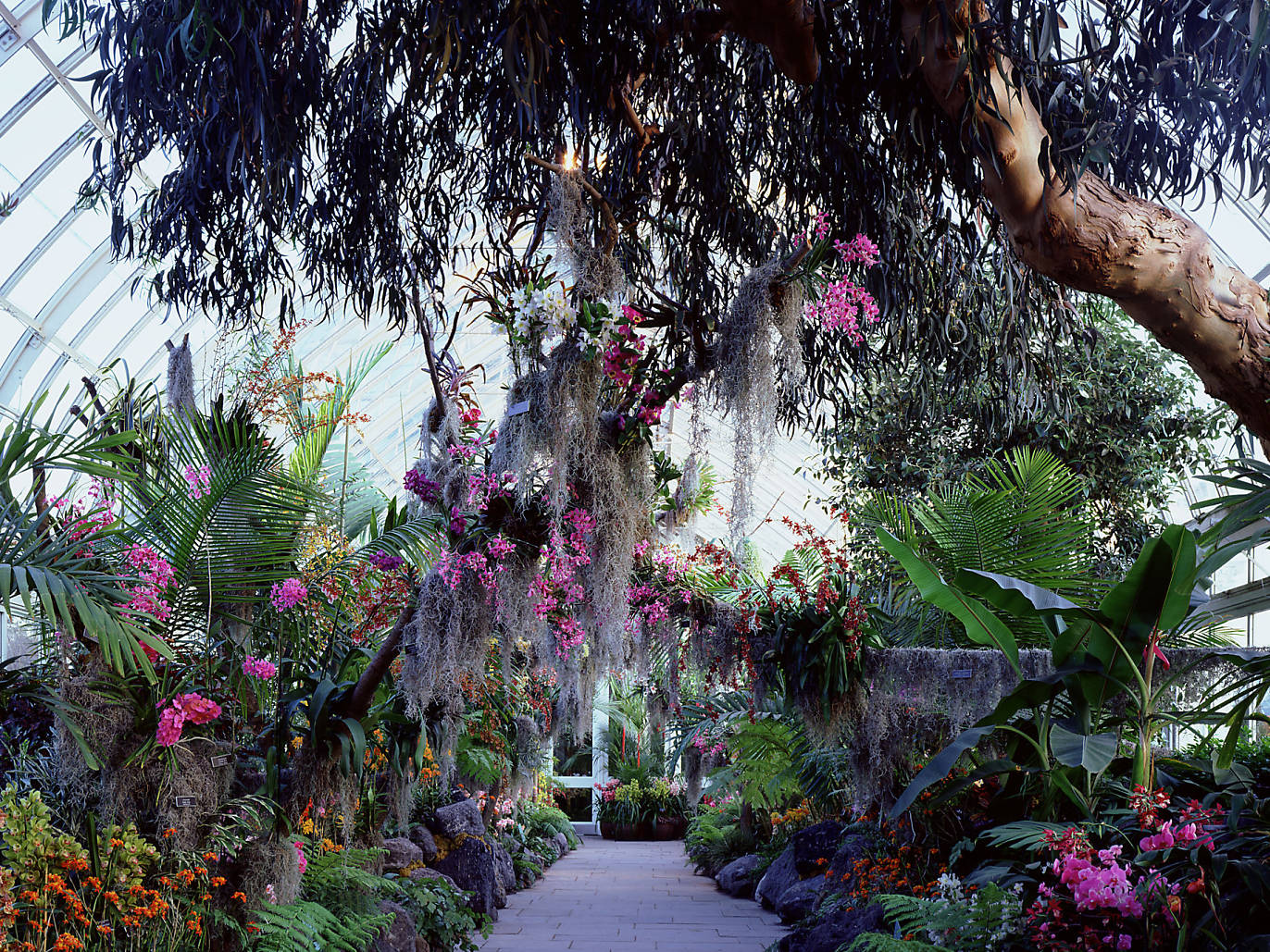 The best places to chill out in New York City