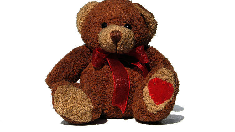 teddy bear teddy bear