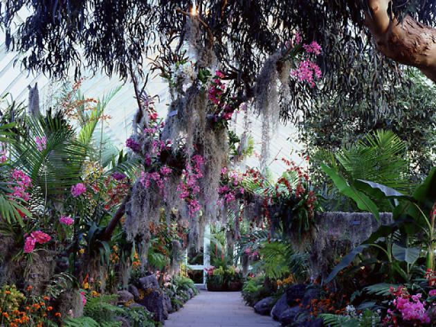 The best places to relax: New York Botanical Garden The best places to relax: New York Botanical Garden