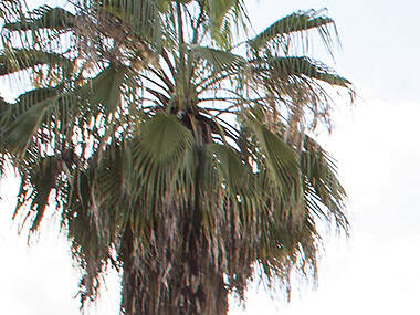 Stock up on produce at the Silver Lake Farmers’ Market Stock up on produce at the Silver Lake Farmers’ Market