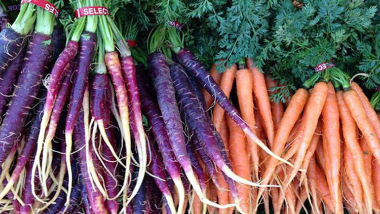 Photograph: Courtesy Beverly Hills Farmers' Market