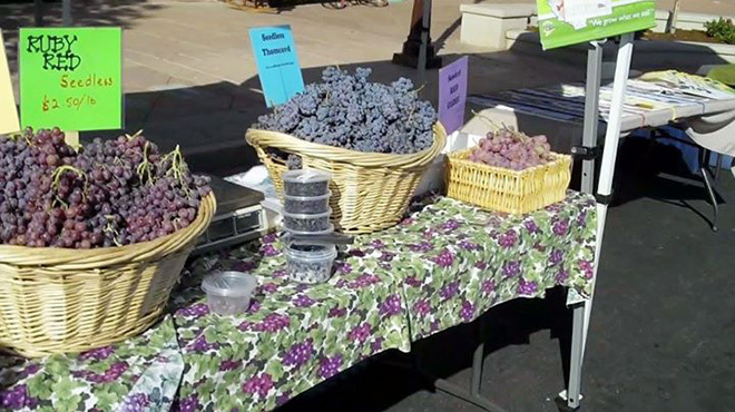 Mar Vista Farmers Market Eggs