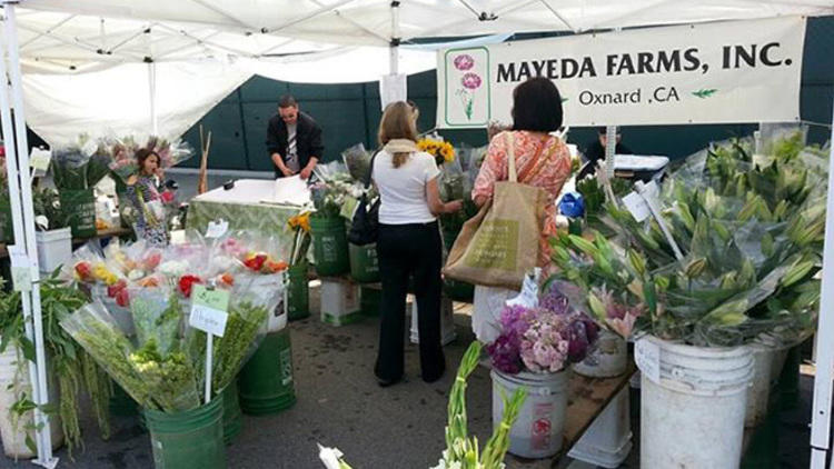 Photograph Courtesy Mar Vista Farmers' Market