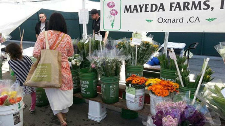 Photograph Courtesy Mar Vista Farmers' Market