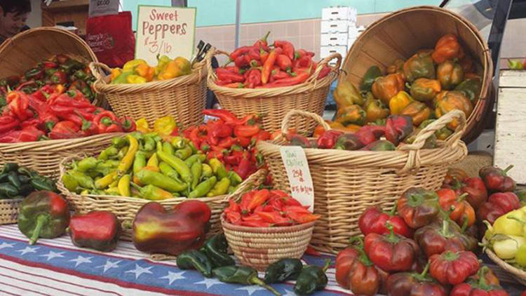 Shop the farmer's market