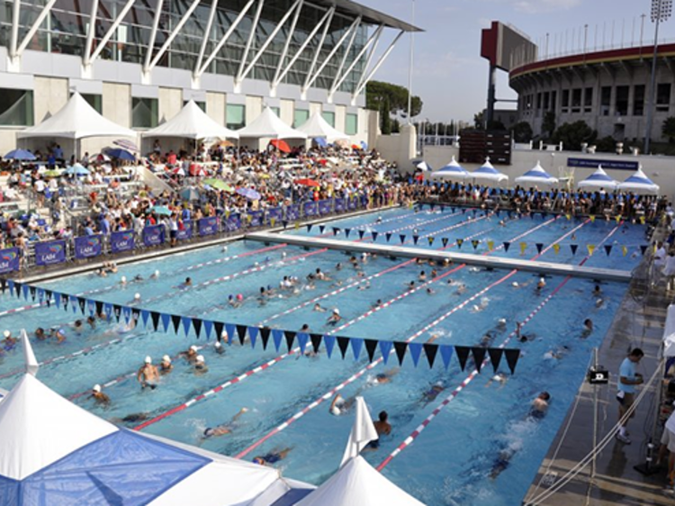 LA84 Foundation/John C. Argue Swim Stadium