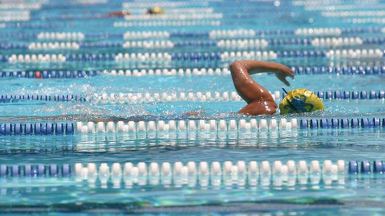 Photograph: Courtesy Santa Monica Swim Center