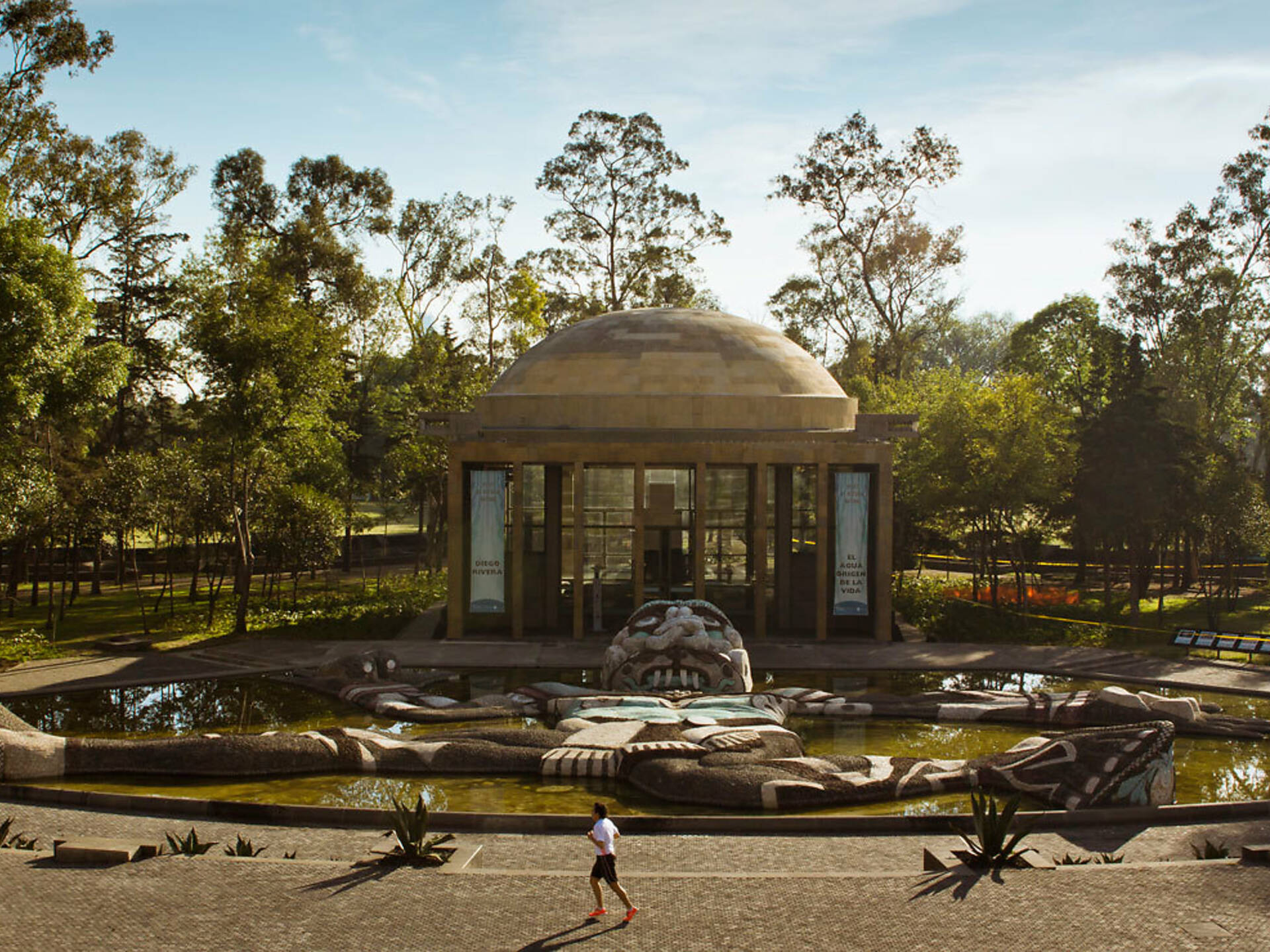 Lugares Y Actividades Gratis En El Bosque De Chapultepec