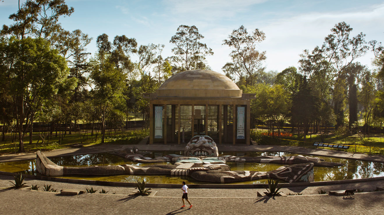 Guía de Chapultepec. Lo mejor en bosque más grande del DF