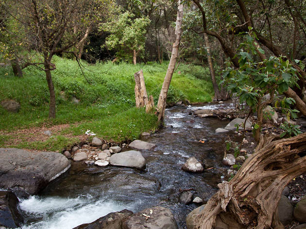 Río Magdalena Río Magdalena