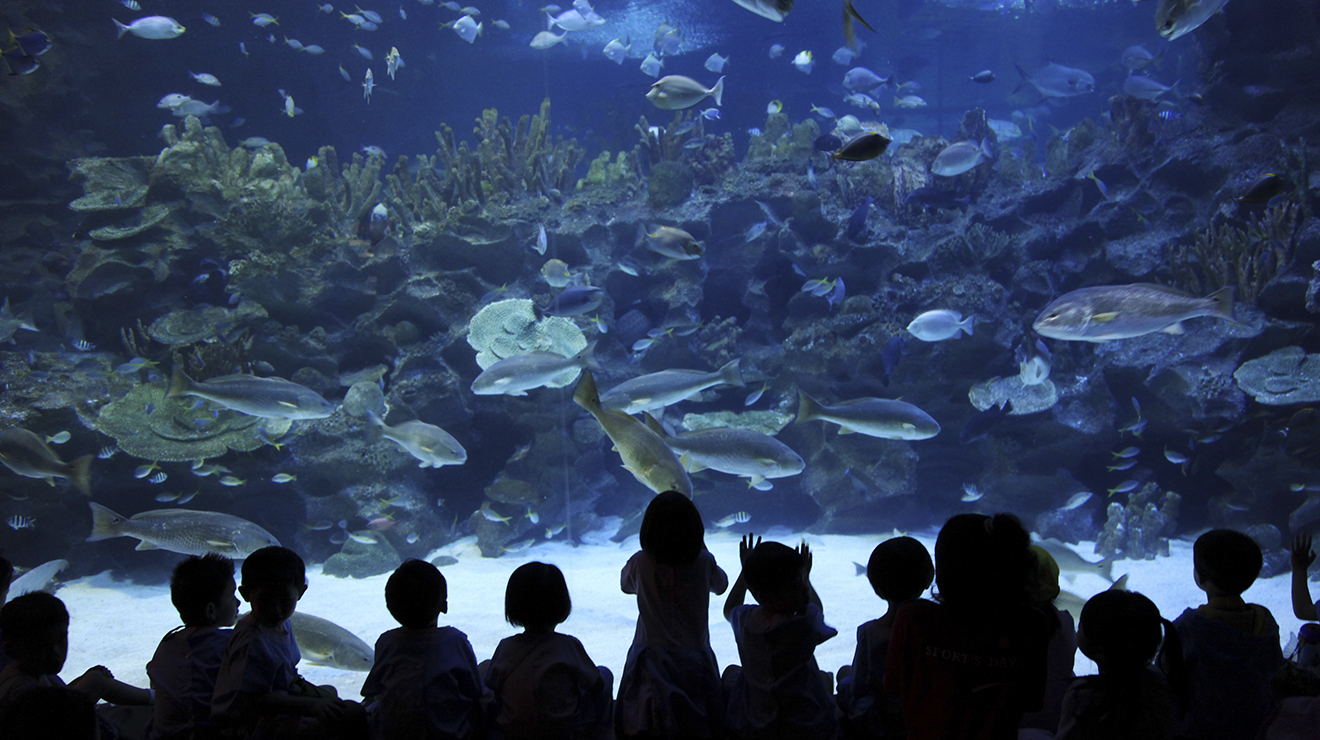 Best things to do in Kuala Lumpur with your kids