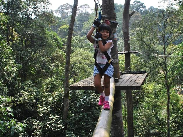 Skytrex Adventure Kids In Shah Alam Kuala Lumpur