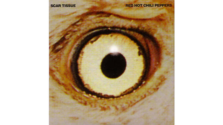 ‘Scar Tissue’ by Red Hot Chili Peppers