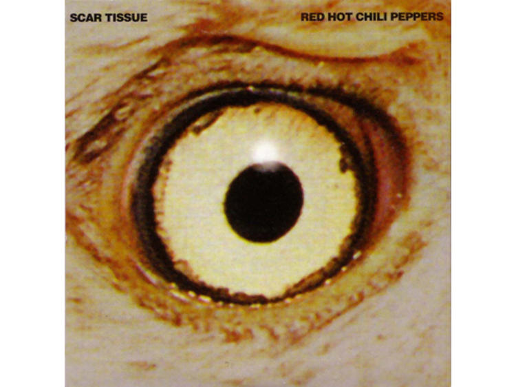 ‘Scar Tissue’ by Red Hot Chili Peppers