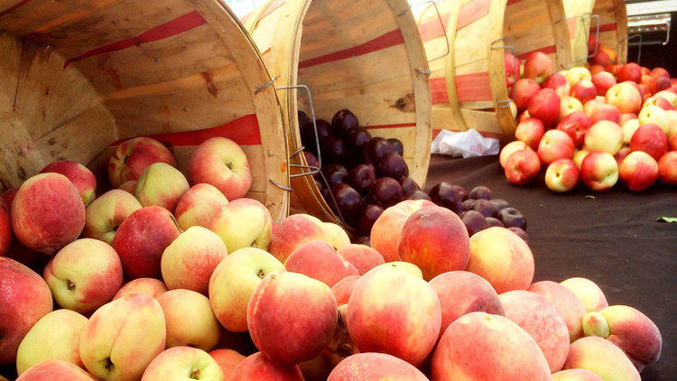 Photograph: Courtesy Brentwood Farmers' Market