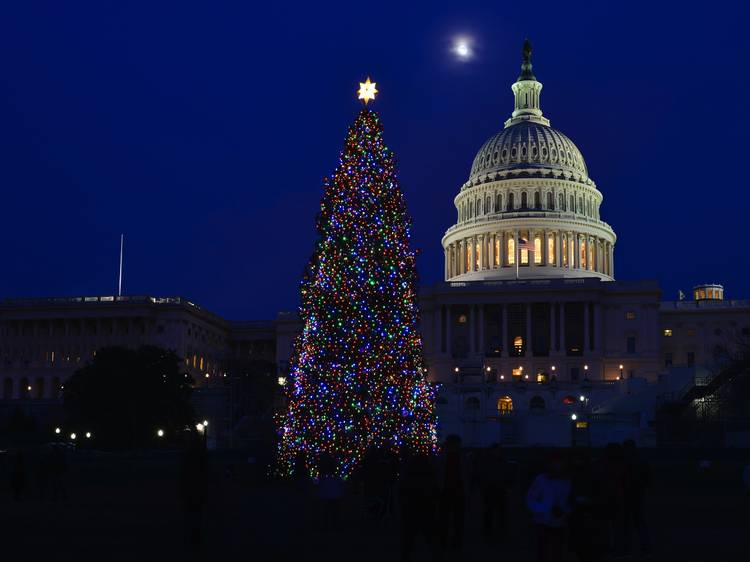 National Christmas Tree Lighting