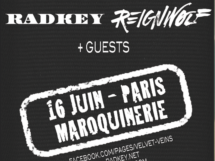 Flyer Velvet Veins Maroquinerie Flyer Velvet Veins Maroquinerie