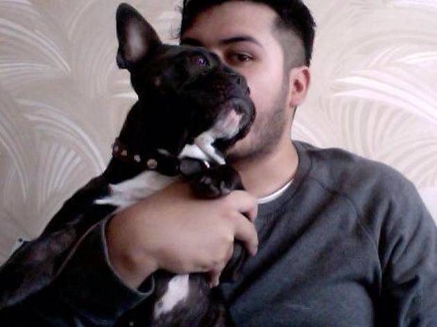 Lalo Rojas, perro Lalo Rojas, perro