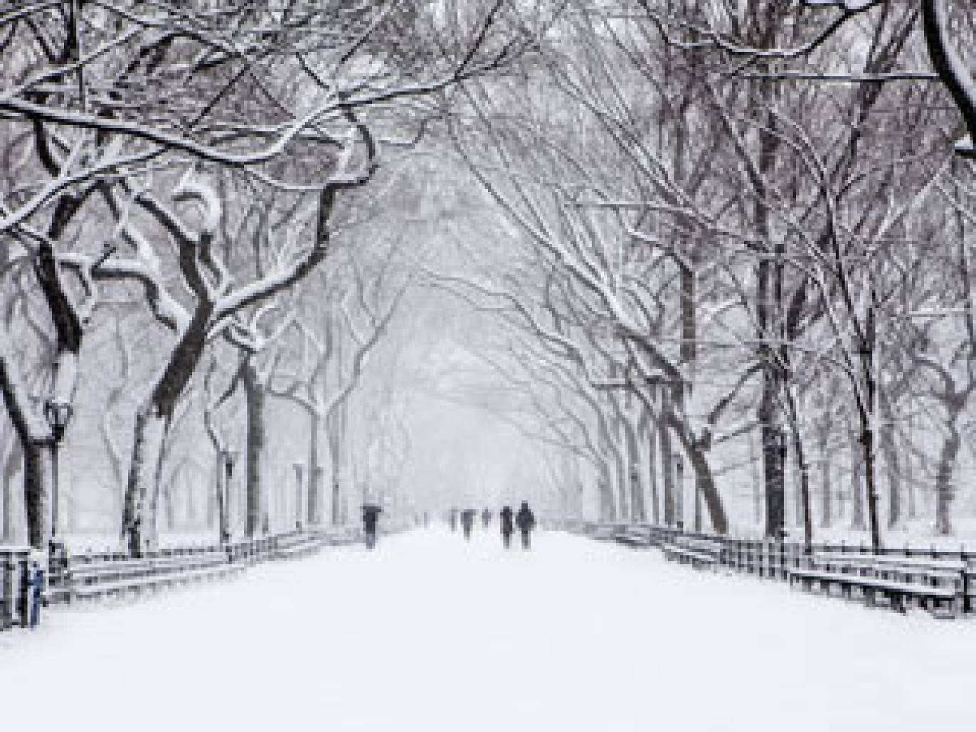 The ten commandments of New York apartment hunting