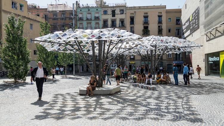 La Biblioteca dels Arbres Perduts