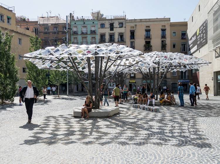 La Biblioteca dels Arbres Perduts