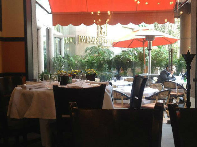 Brasserie Lipp Brasserie Lipp