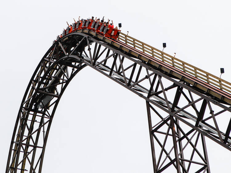 Ride a thrilling roller coaster