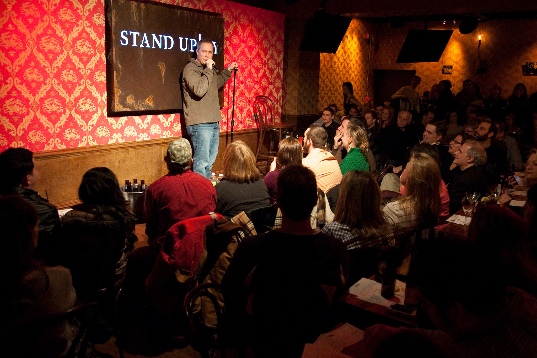 Stand Up Comedy Audience