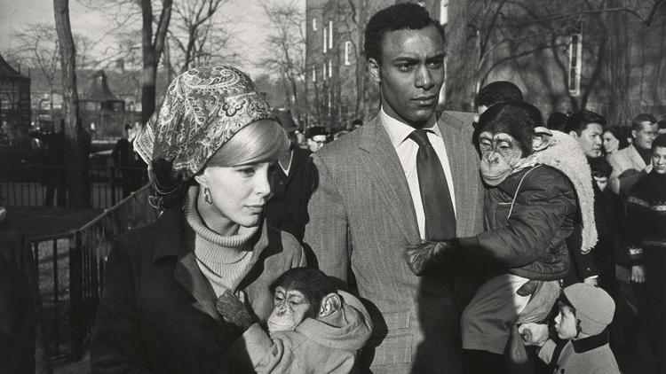 © The Estate of Garry Winogrand / Courtesy Fraenkel Gallery, San Francisco / Photo : Don Ross