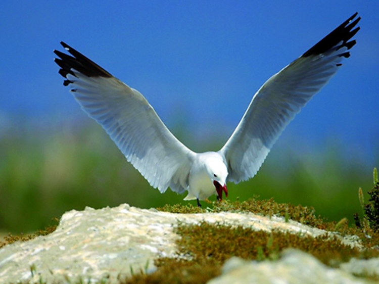 Naturaleza y cultura en Deltebre