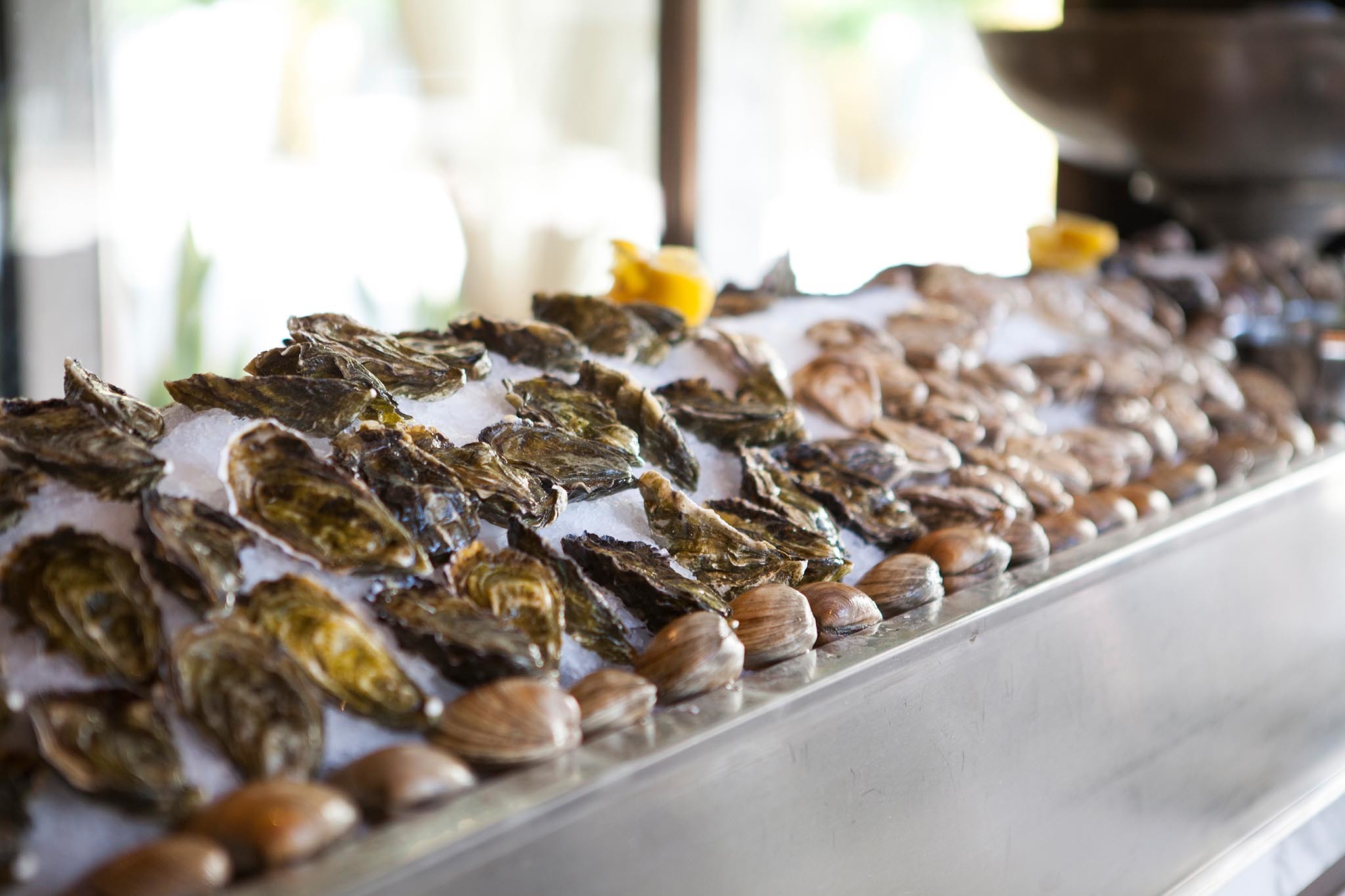 Best oyster bars and raw bars in, and near, Los Angeles