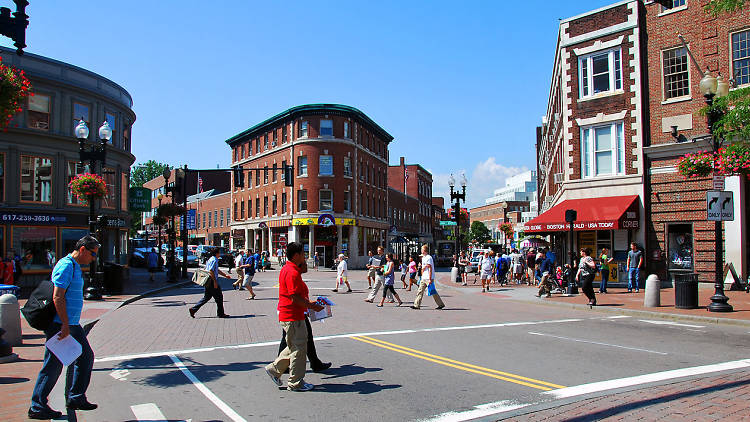 Have a Harvard Square adventure