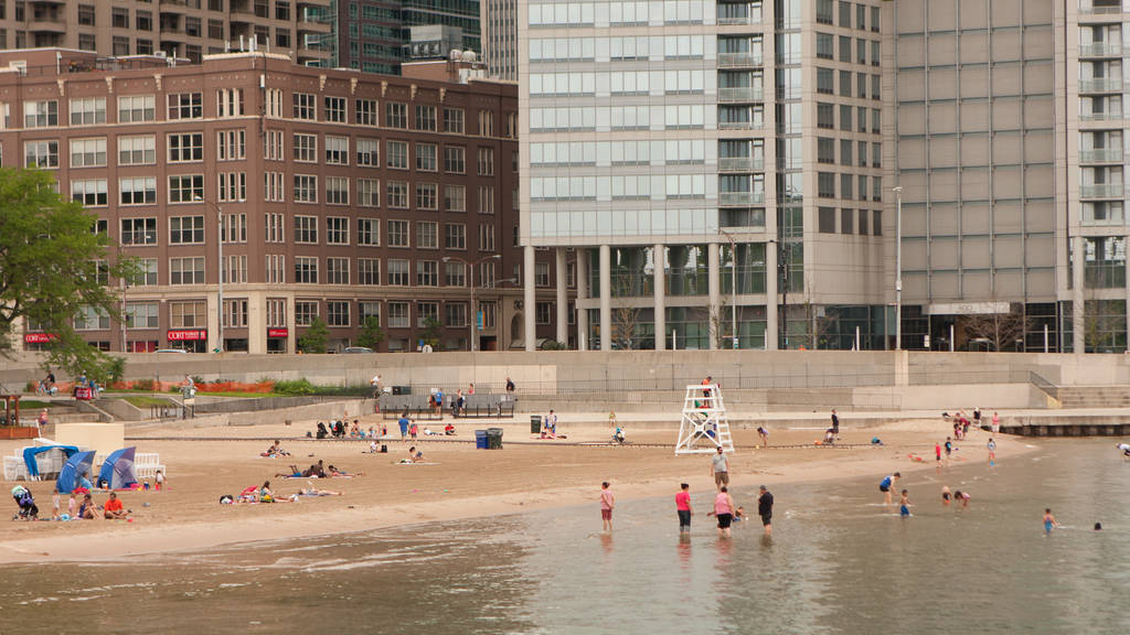 Ohio Street Beach Things to do in Streeterville, Chicago
