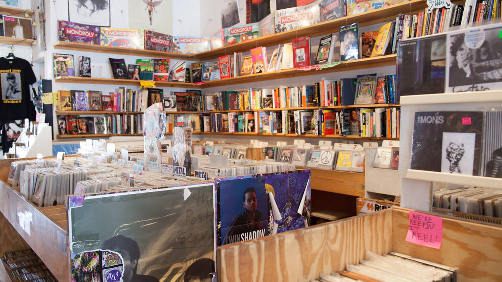 Laurie's Planet of Sound Shopping in Lincoln Square, Chicago