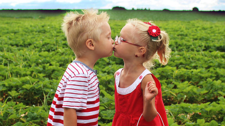 Pick your own berries