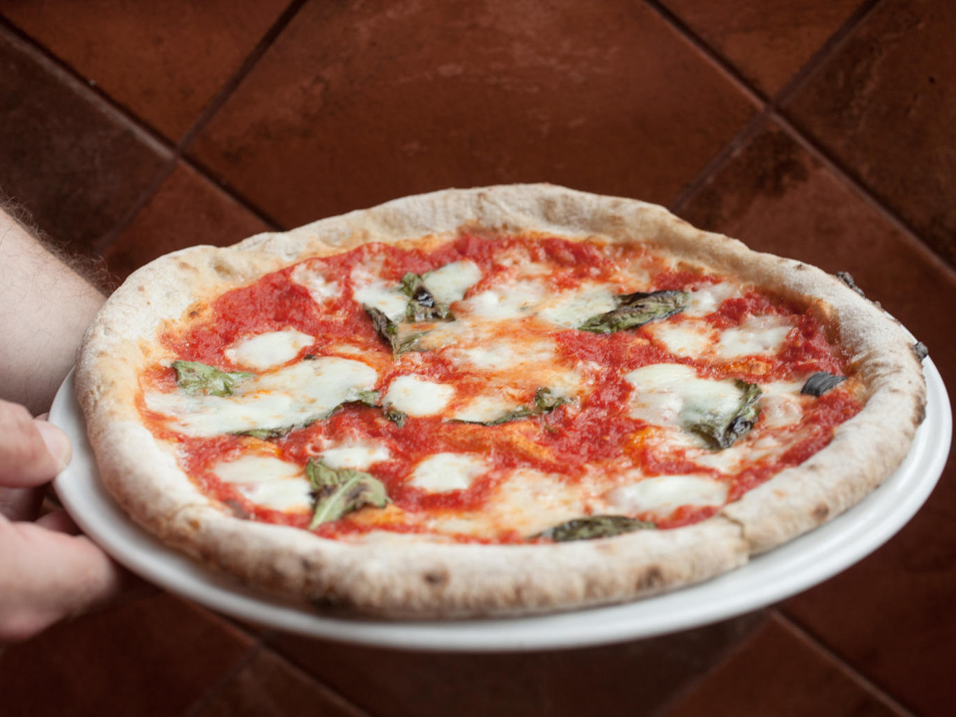 The Best Pizza in Chicago for 2024