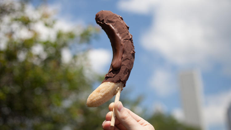 Mariano’s chocolate covered frozen banana at Taste of Chicago.