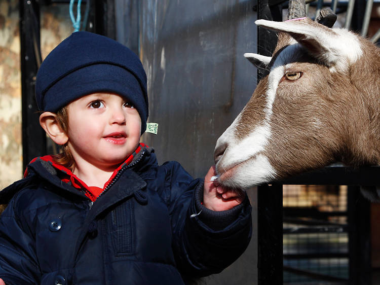 The 100 best things to do in London with kids