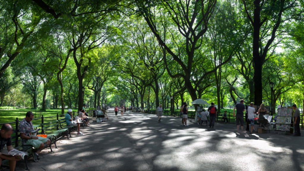 25 best summer pictures of sunny days in New York City