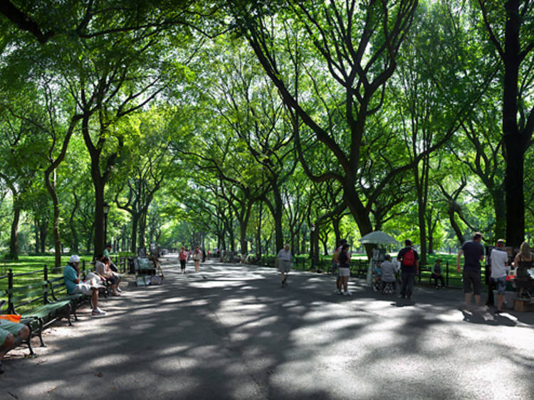 Central Park Moonlight Ride