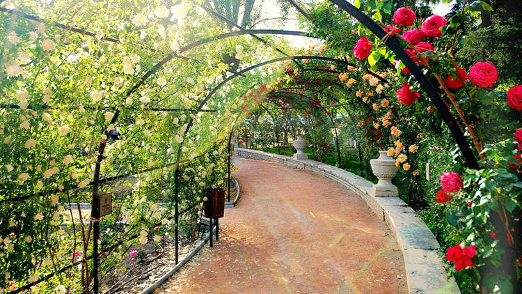 Parque del Oeste rose garden