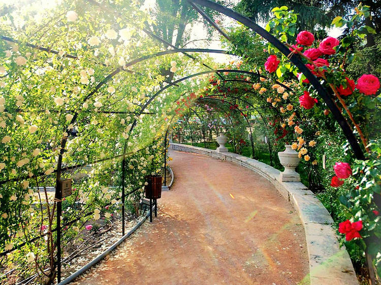 Parque del Oeste rose garden