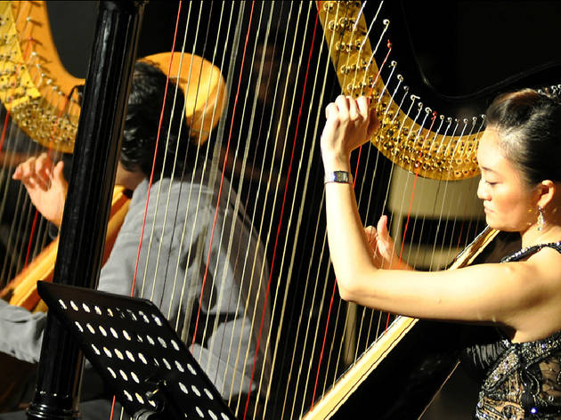The Harp Academy The Harp Academy
